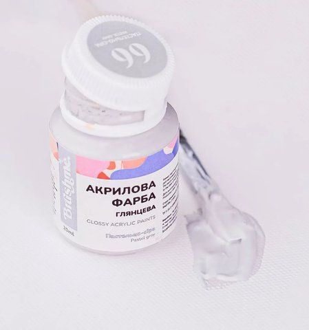 Пастельно-сіра ACPT66 фото